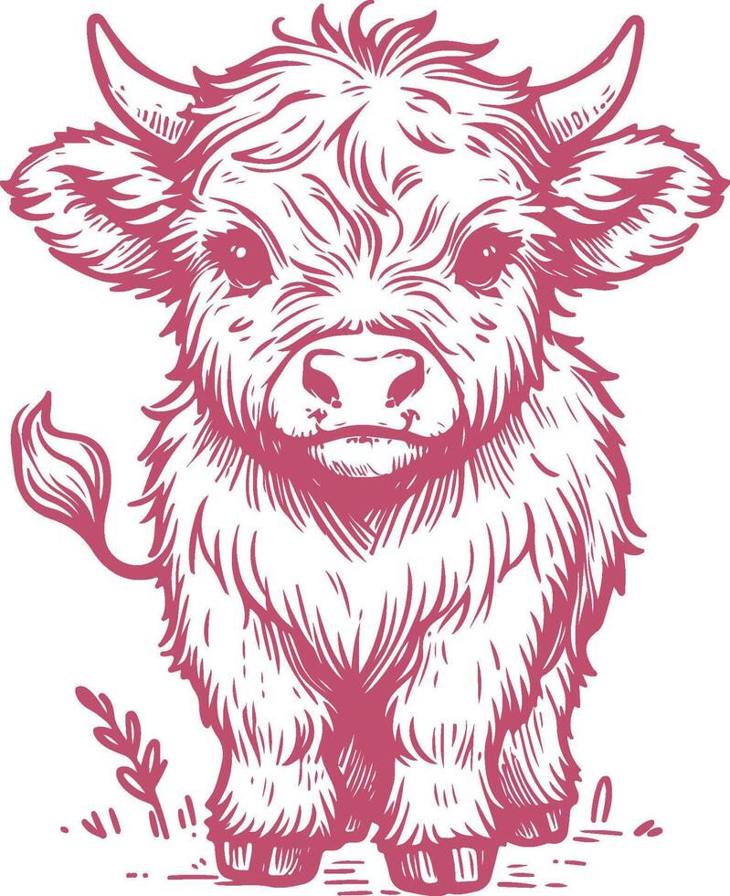 Front-Facing Baby Highland Cow Illustration with Rustic Charm vector