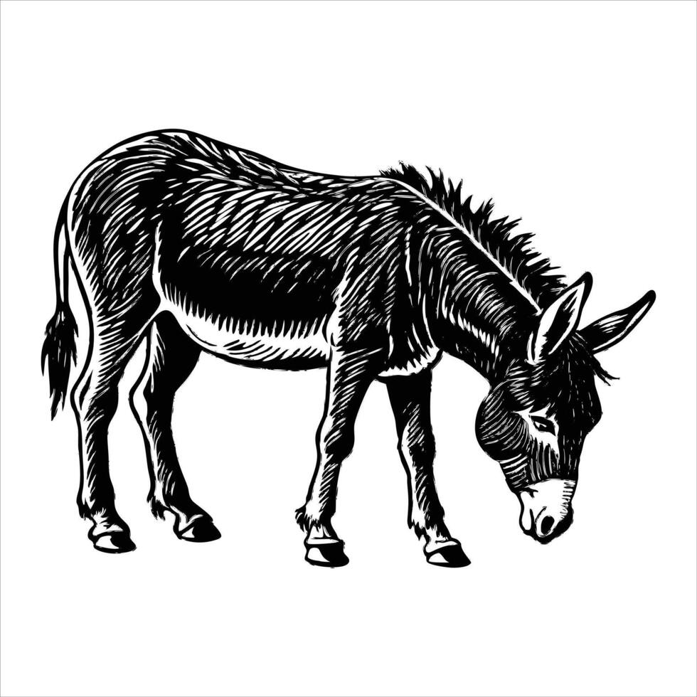View wild elk vector