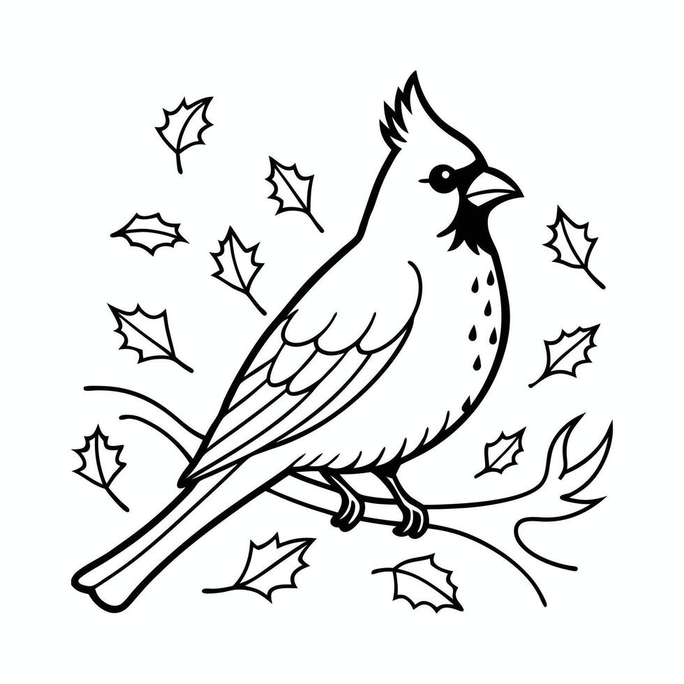 Cardinal On Branch Images vector