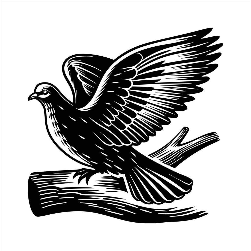 Flying Dove Images vector
