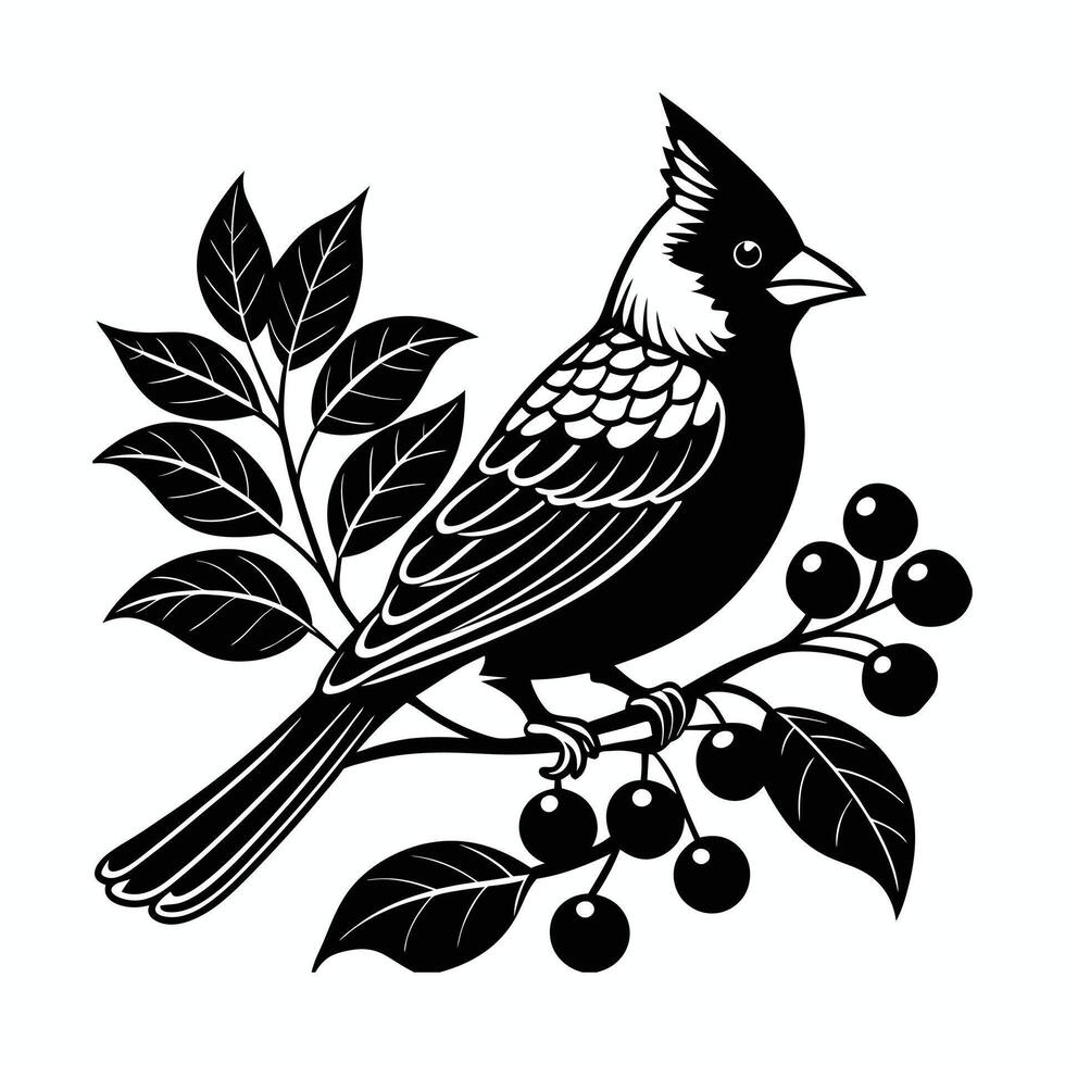 Free Cardinal on Branch Image vector