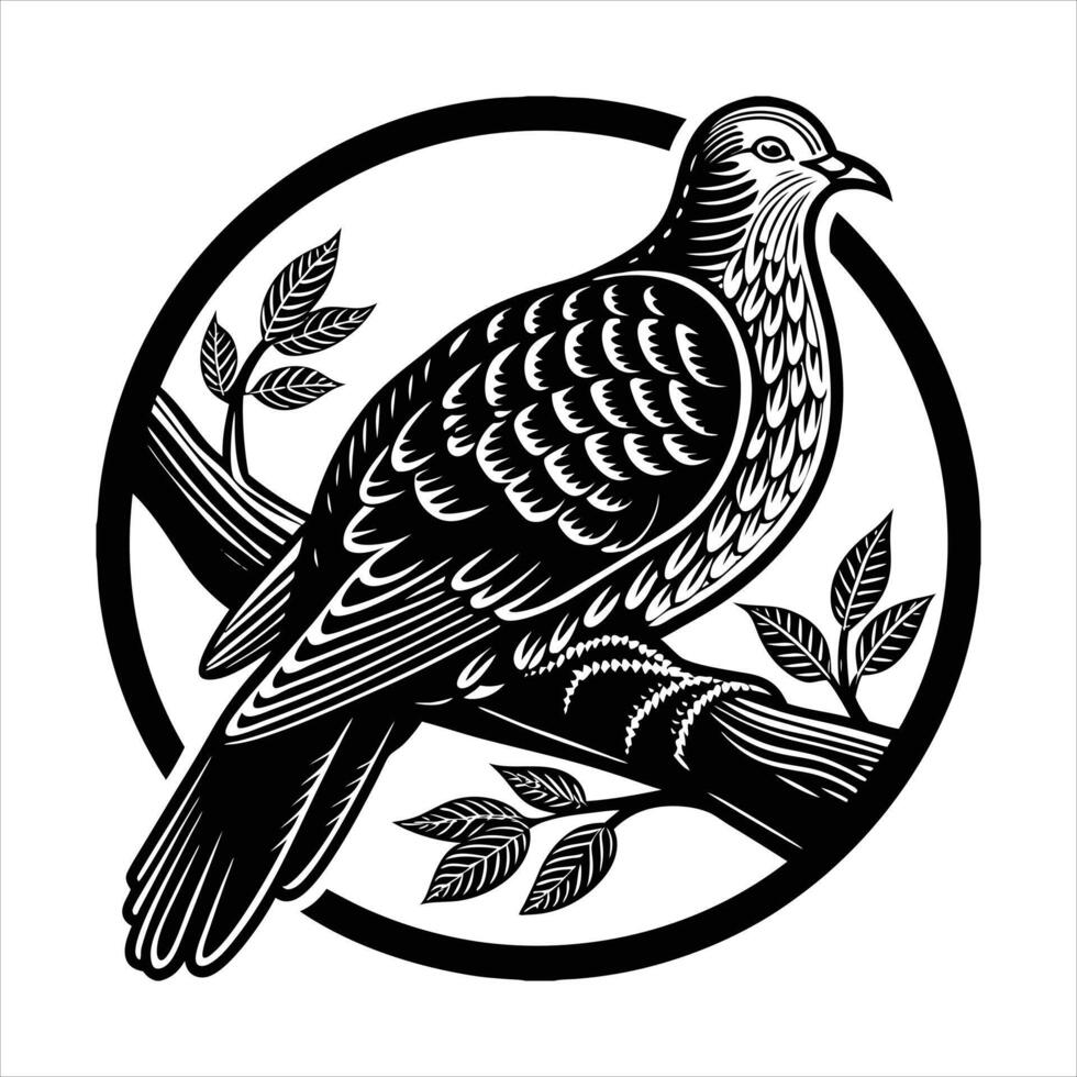 Peace Dove Images vector