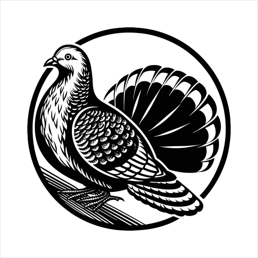 Detailed Dove Vectors. vector
