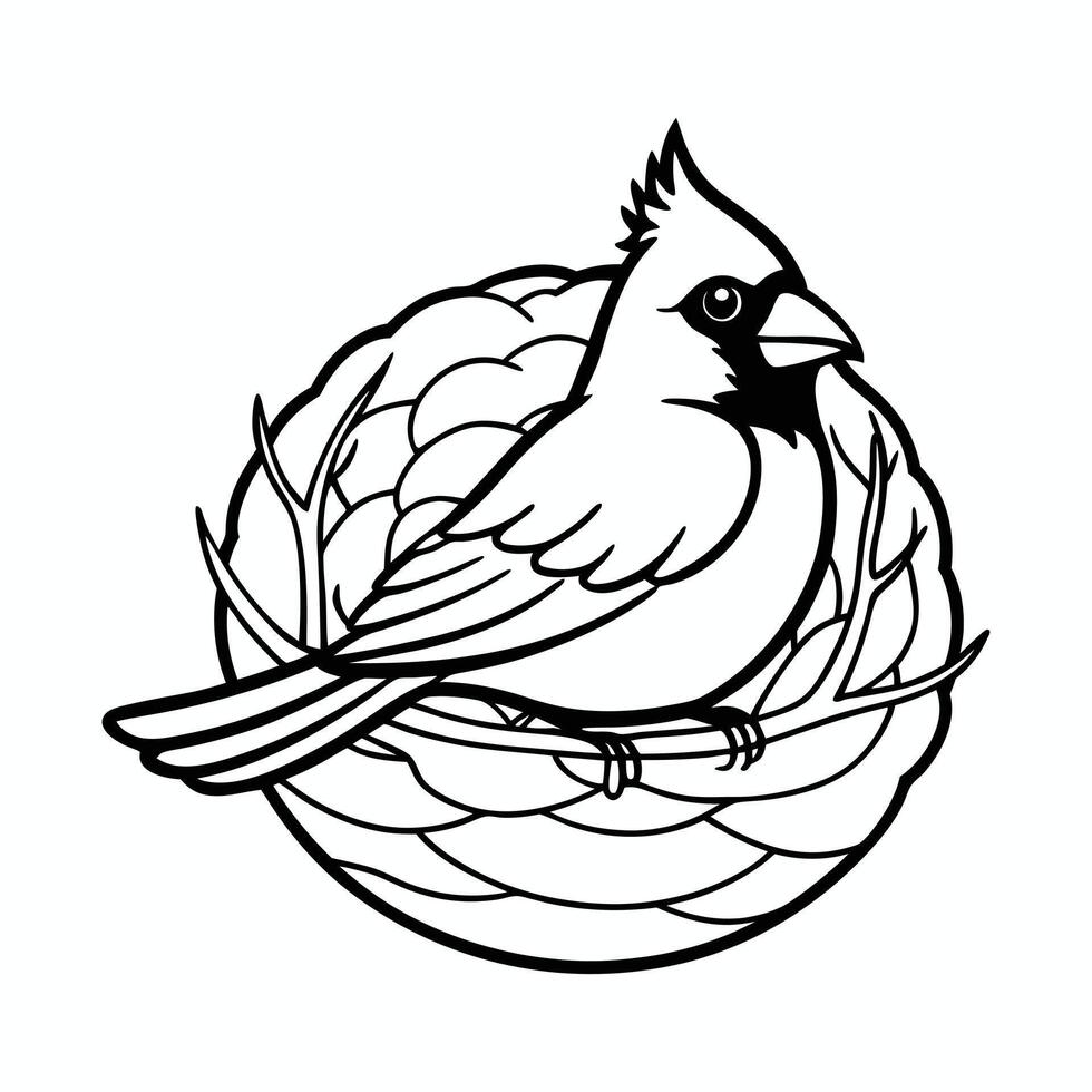 Cardinal Nest Images vector