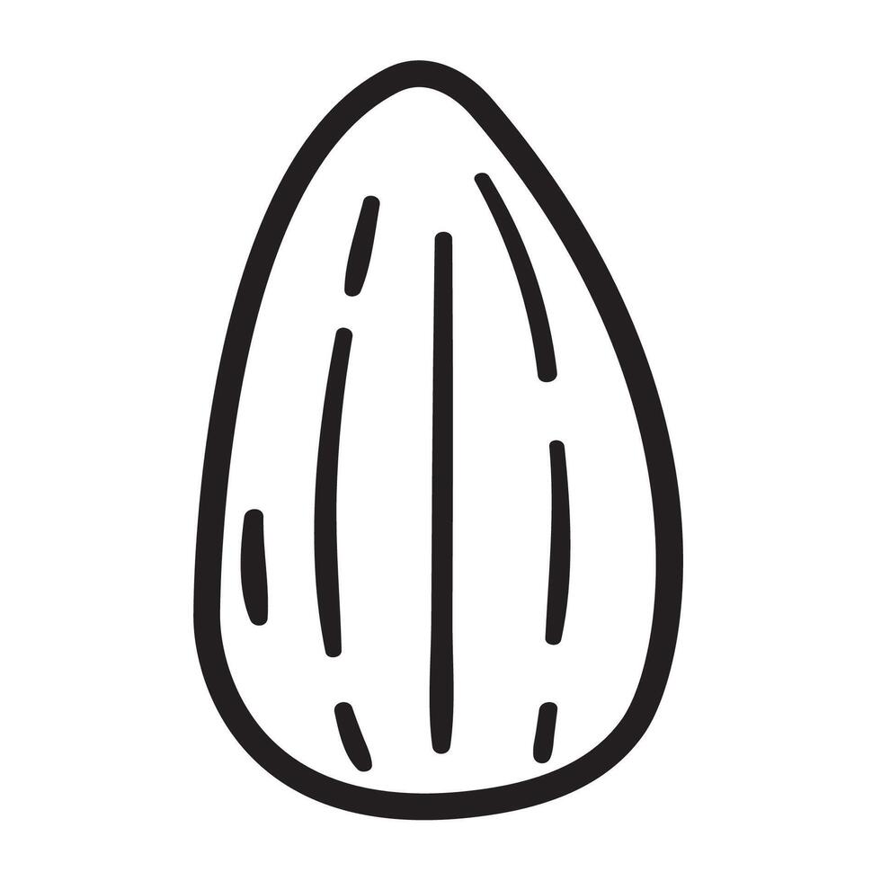 Almond nut. Outline design. Illustration on white background. vector