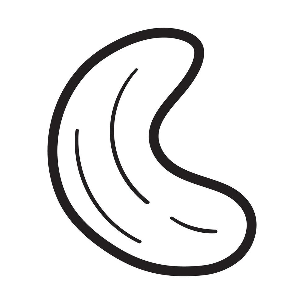 Cashew. Outline isolated icon. Illustration. hand drawn design on white background. vector