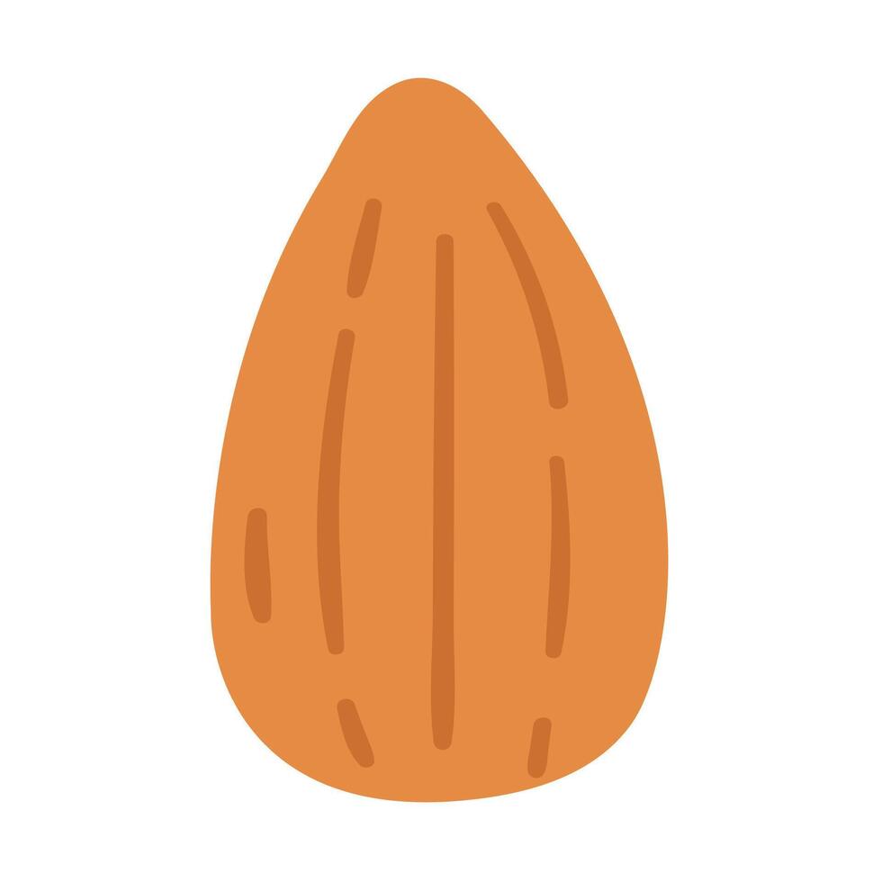 Almond. Nut. Food design. Isolated icon. Flat illustration on white background. vector