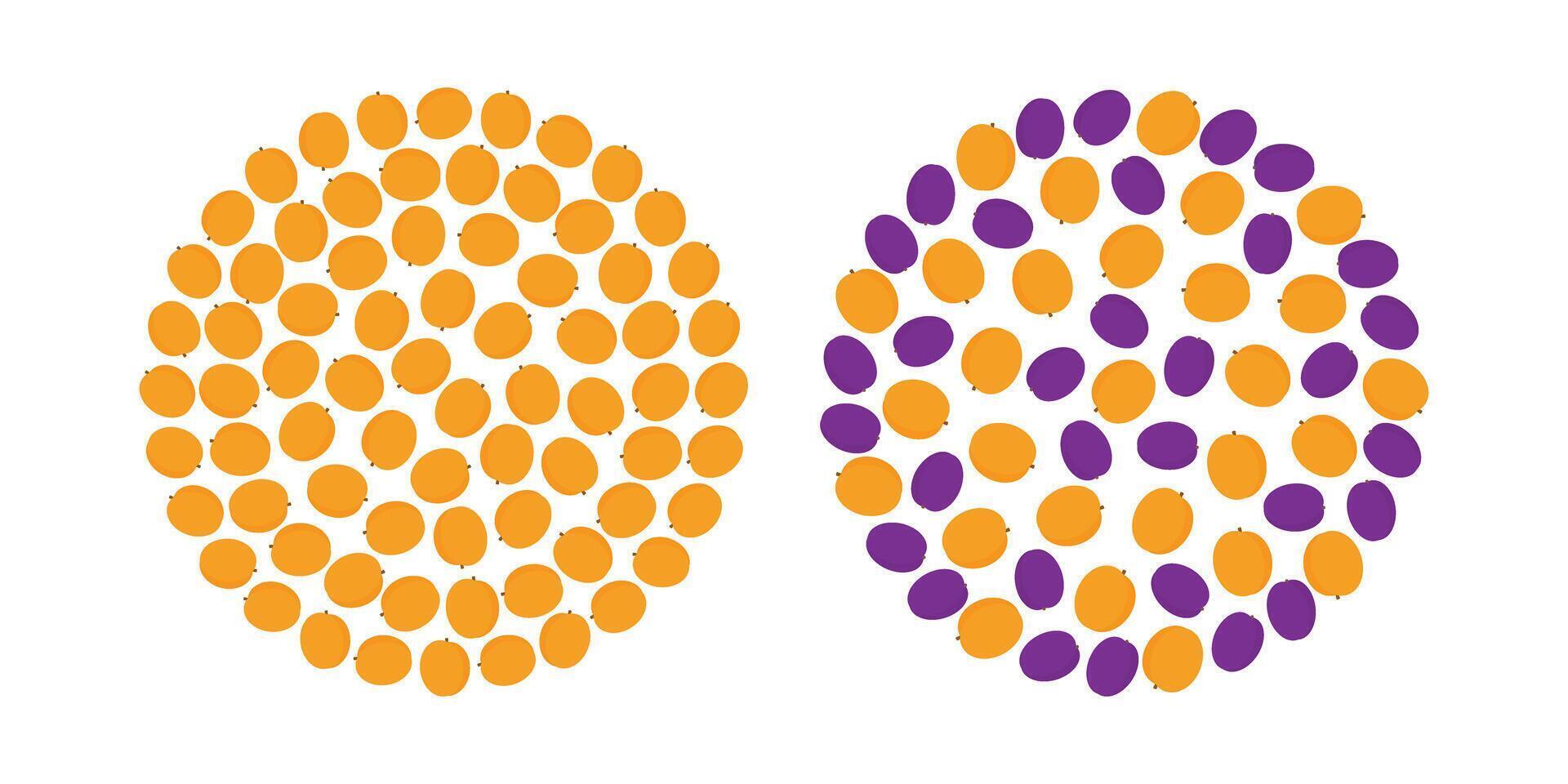 Apricots and plums Circular Backgrounds in summertime orange and purple. Abstract backdrops Set 2. Isolated illustration Healthy Eating Cards, leaflets, poster or web promo banner, label tag vector