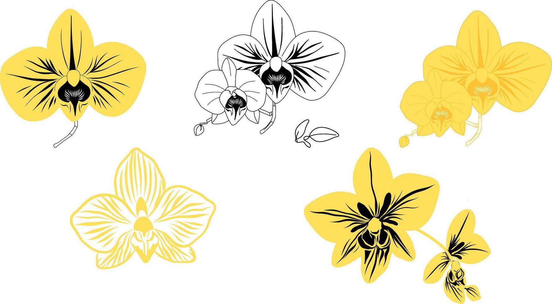 Elegant orchid line art set. Hand drawn yellow flowers. For stickers, logos, icons, packaging design, digital artwork, product labels, botanical themes. vector