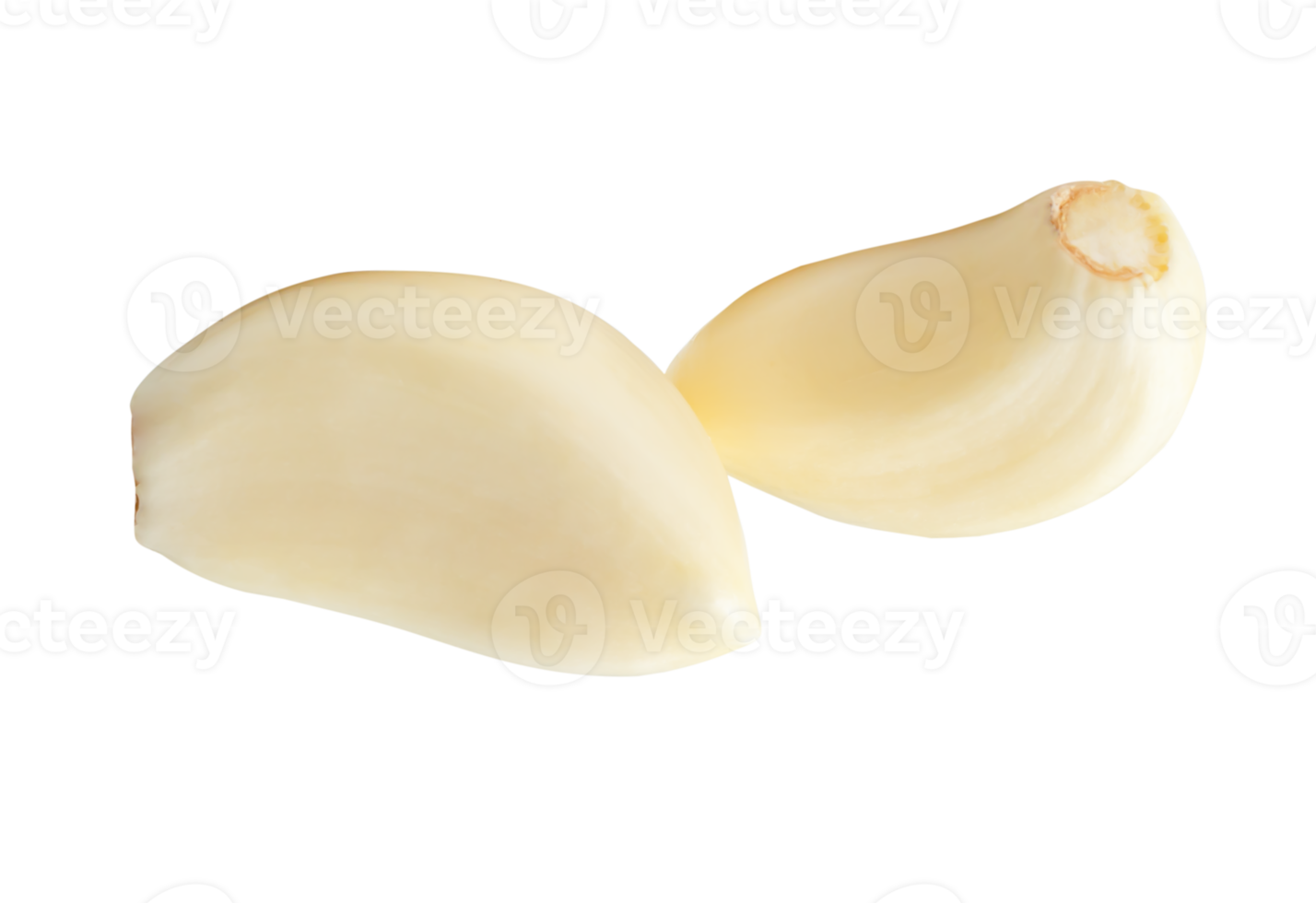 Two white peeled garlic cloves in horizon pile isolated with clipping path in file format png