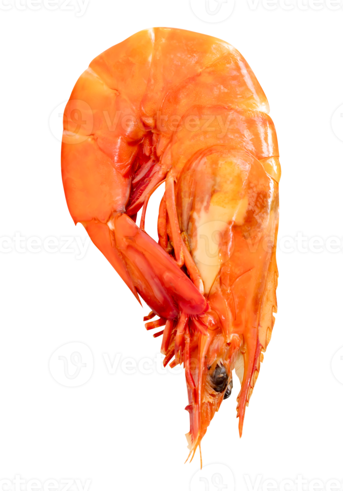 red or orange cooked or steamed prawn isolated with clipping path in file format png