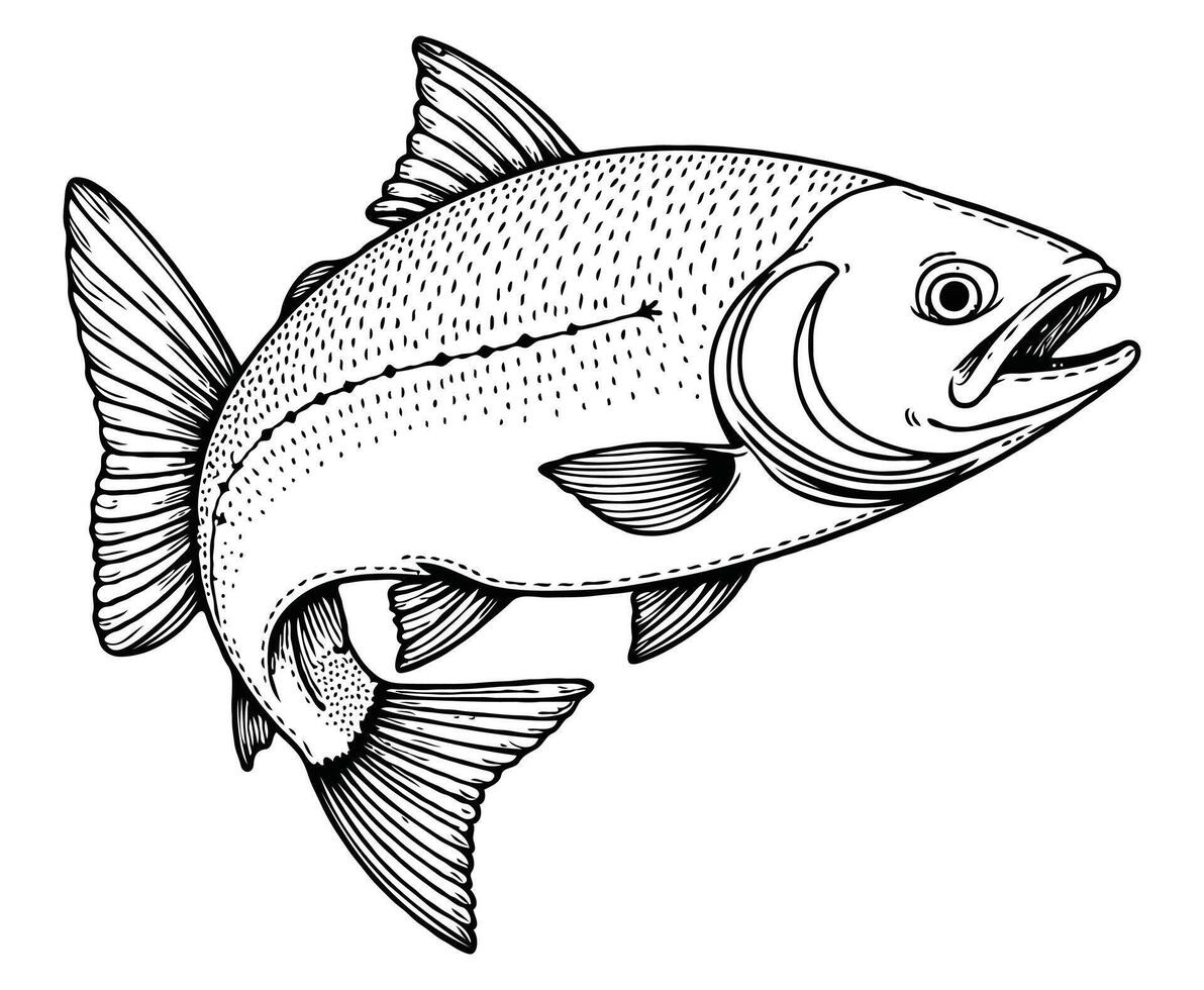 Salmon Animal Coloring Page Colored Illustration vector