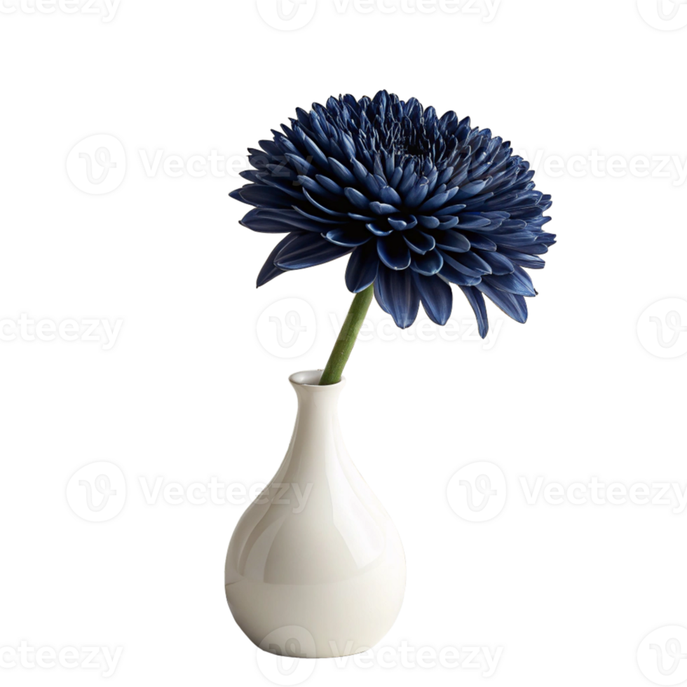 realistic flower blue dark on vase OLD wooden beige texturePatterns on an Old Grunge Wall , sharp focus, ultra realistic, highly detailed, render, 8k isolated on transparent background png