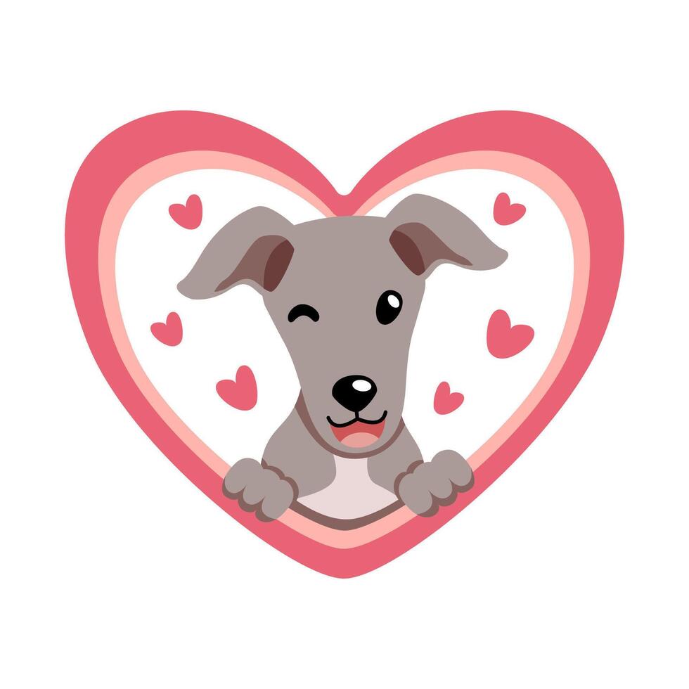 cartoon valentine cute greyhound dog with big heart vector
