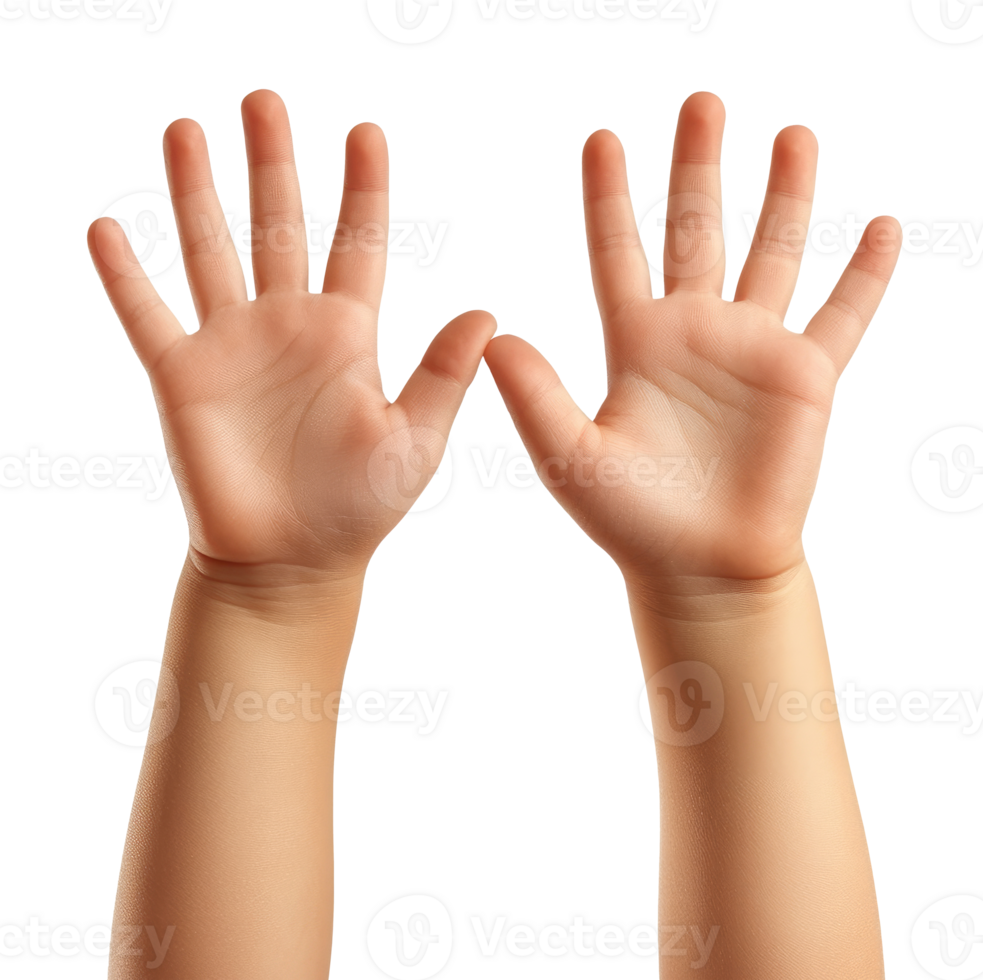 Child hands isolated png