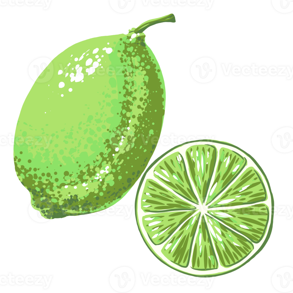 Set of tropical Green lime fruit and it slice png