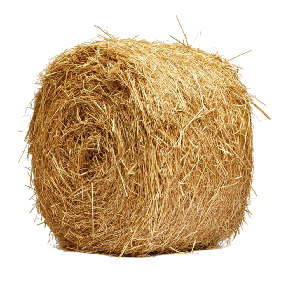 Round Bale of Hay png