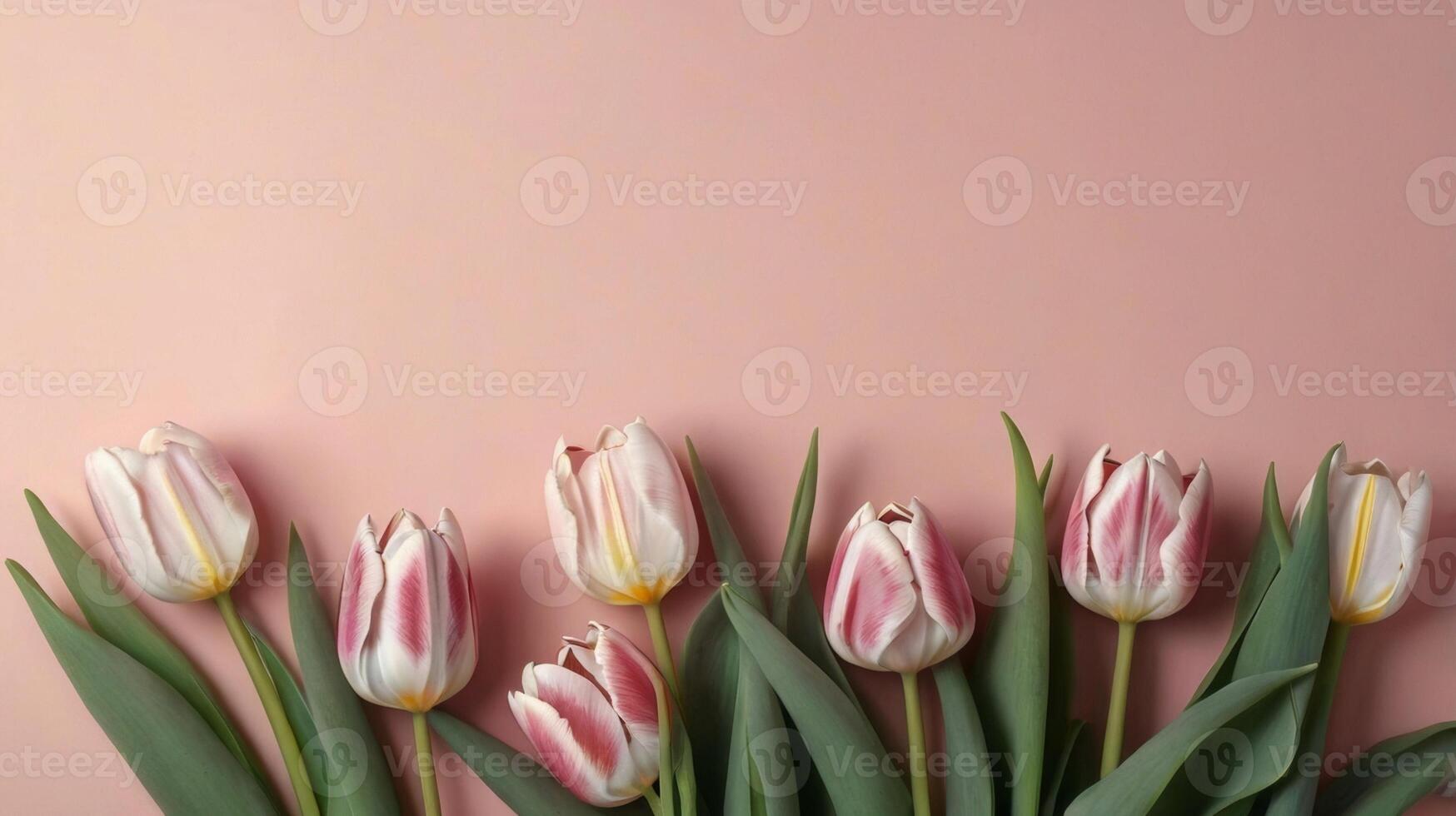 Bouquet of tulips on pink background, top view, space for text on top photo