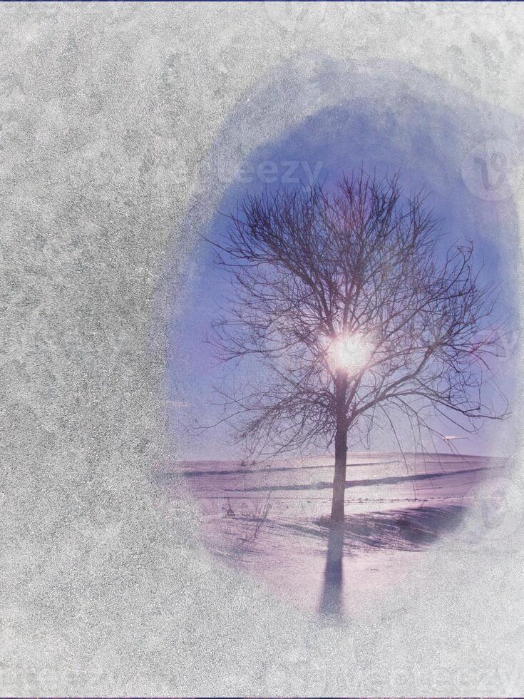winter, landscape, snow, white, park, cold, plants, snowdr photo