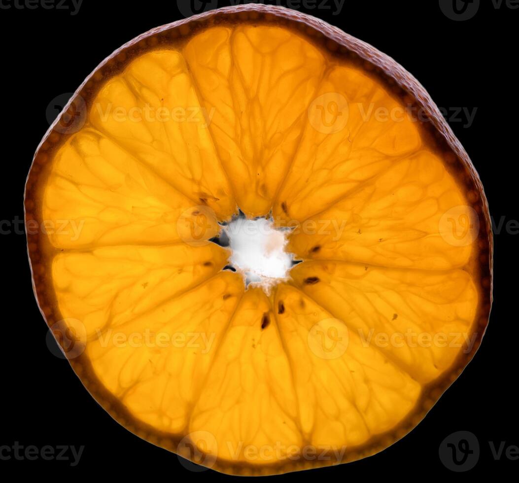 mandarin, structure, pattern, background, color, photo