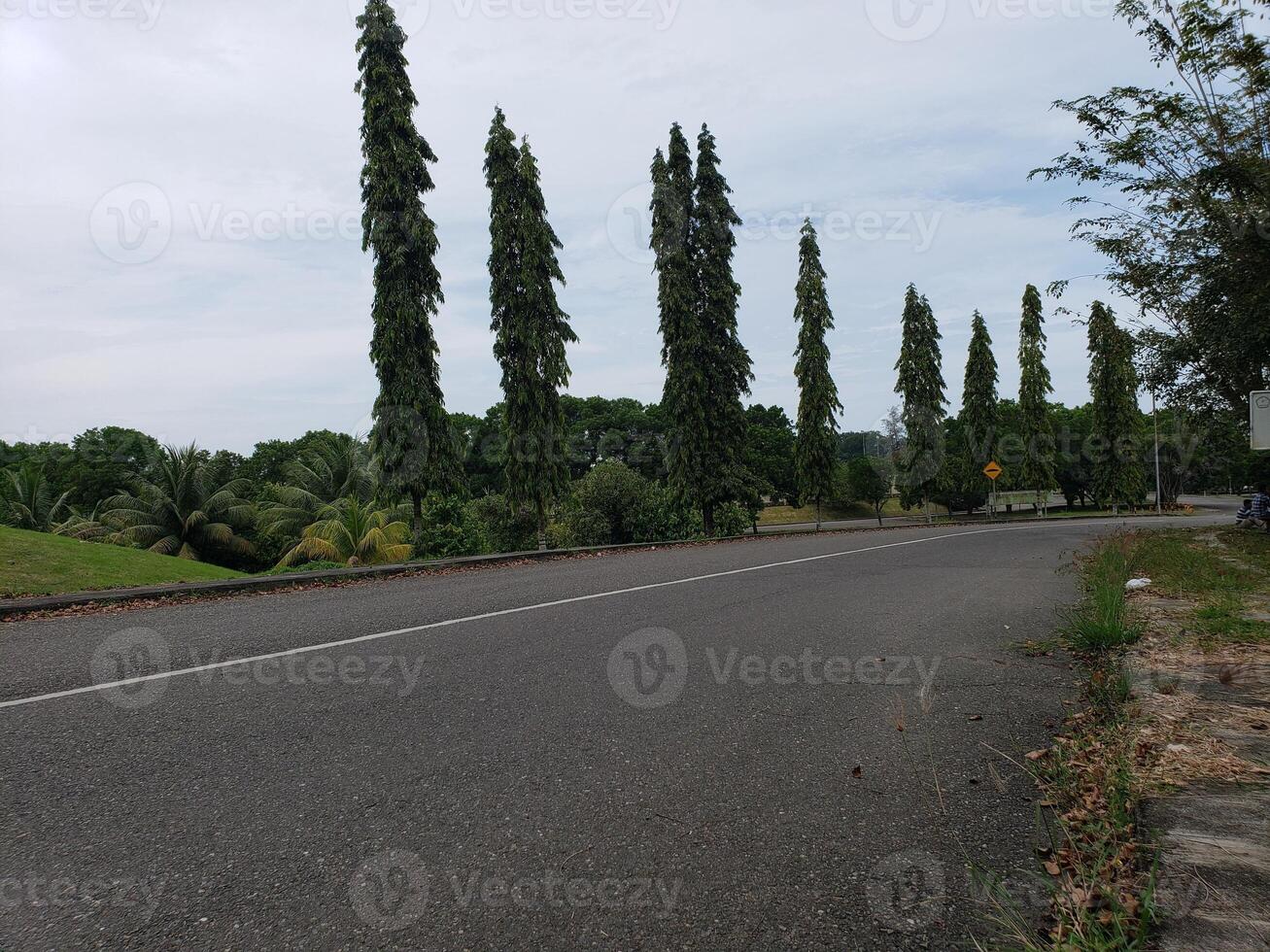Empty Asphalt Road Winding Through Lush Greenery photo