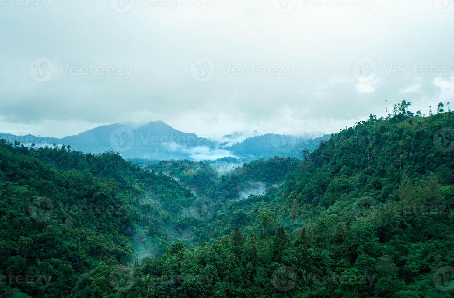 A view of the mountains and forest with fog photo