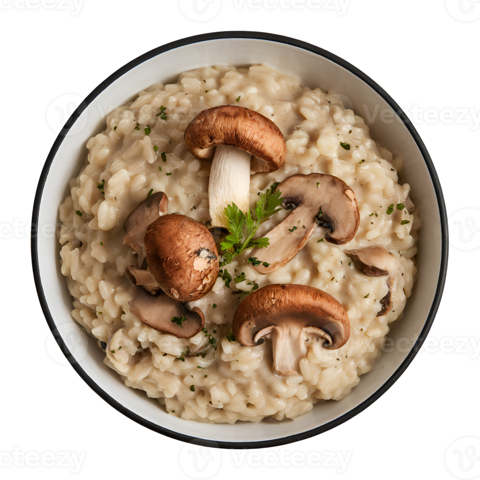 Mushroom Risotto Top View png
