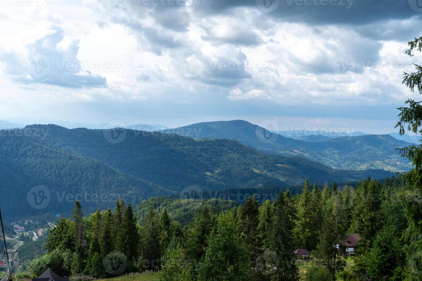 Green forest in the mountains Pine and deciduous trees Mixed forest in summer photo