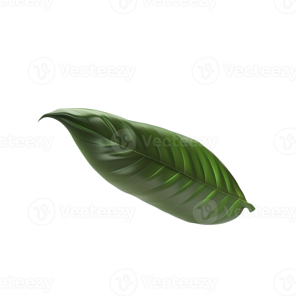 Floating Leaf Concept Model png