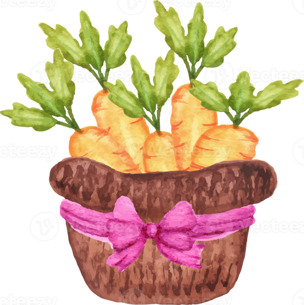 watercolor carrot in the basket with bow png