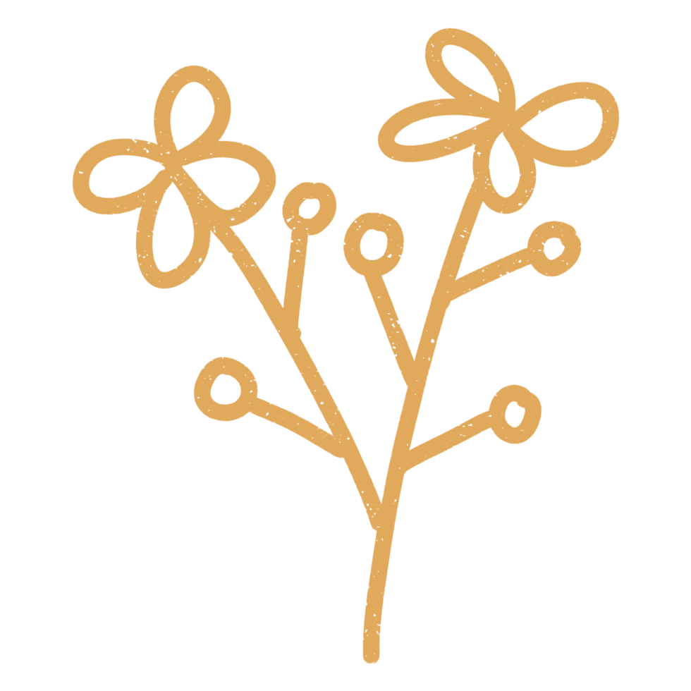 Scrapbook Flower Plant png