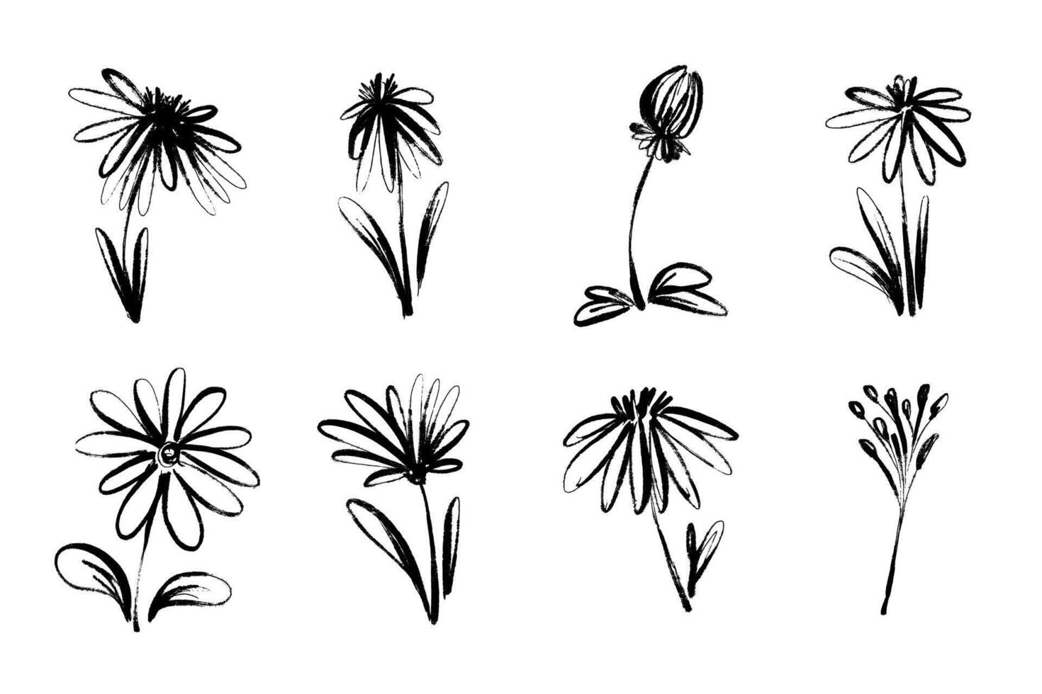 Black Ink Silhouettes of Grunge Flowers Isolated on White Background. Set of plants hand painted with dry ink vector