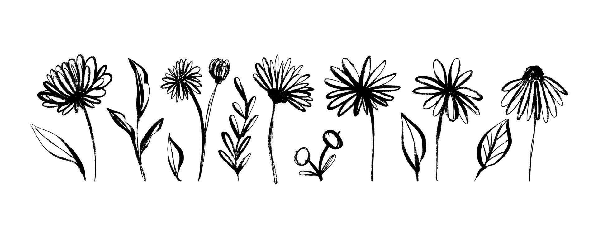 Grunge Elegant Flower Collection Hand Drawn with Black Ink Isolated on White Background. Modern Dry ink strokes of herb silhouettes. Brush dry painting of field plants vector
