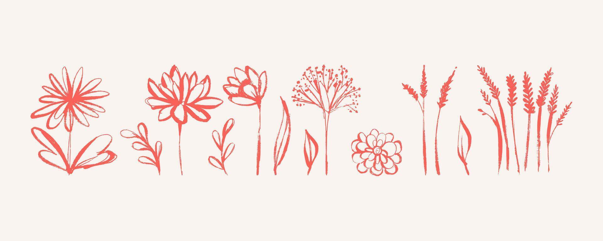 Elegant Field Flowers Isolated on White Background with Grunge. Dry ink strokes of herb silhouettes. Brush dry painting of field plants vector