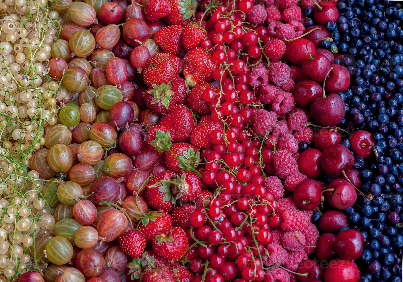 Summer background from berries and fruits. White and red currants, strawberries, cherries, blueberries and gooseberries. Summer vitamin food top view. Healthy diet photo