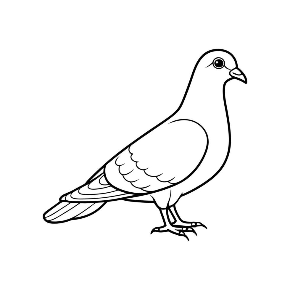 Coloring pages for kids - pigeon vector