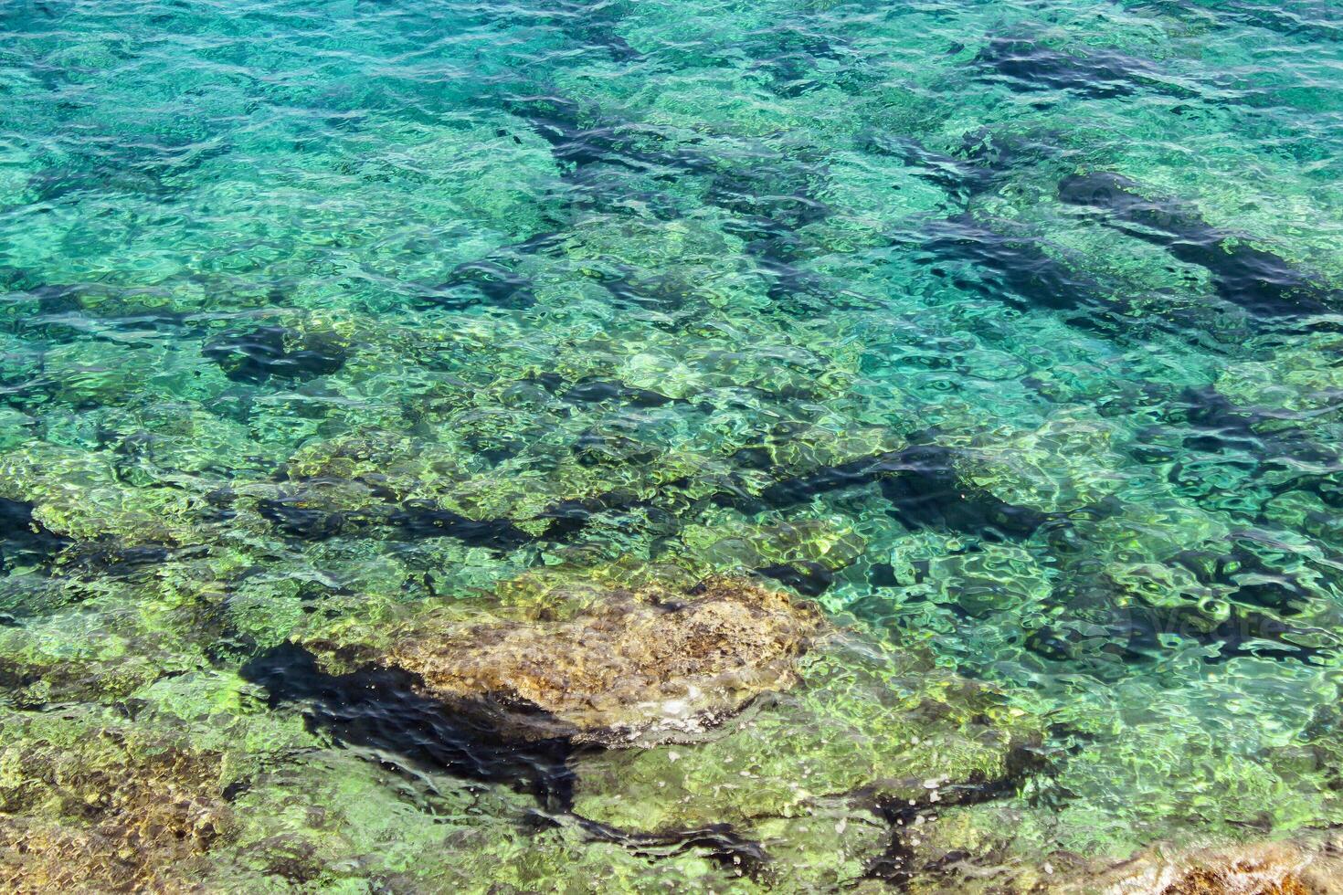 Beautiful turquoise water background. photo