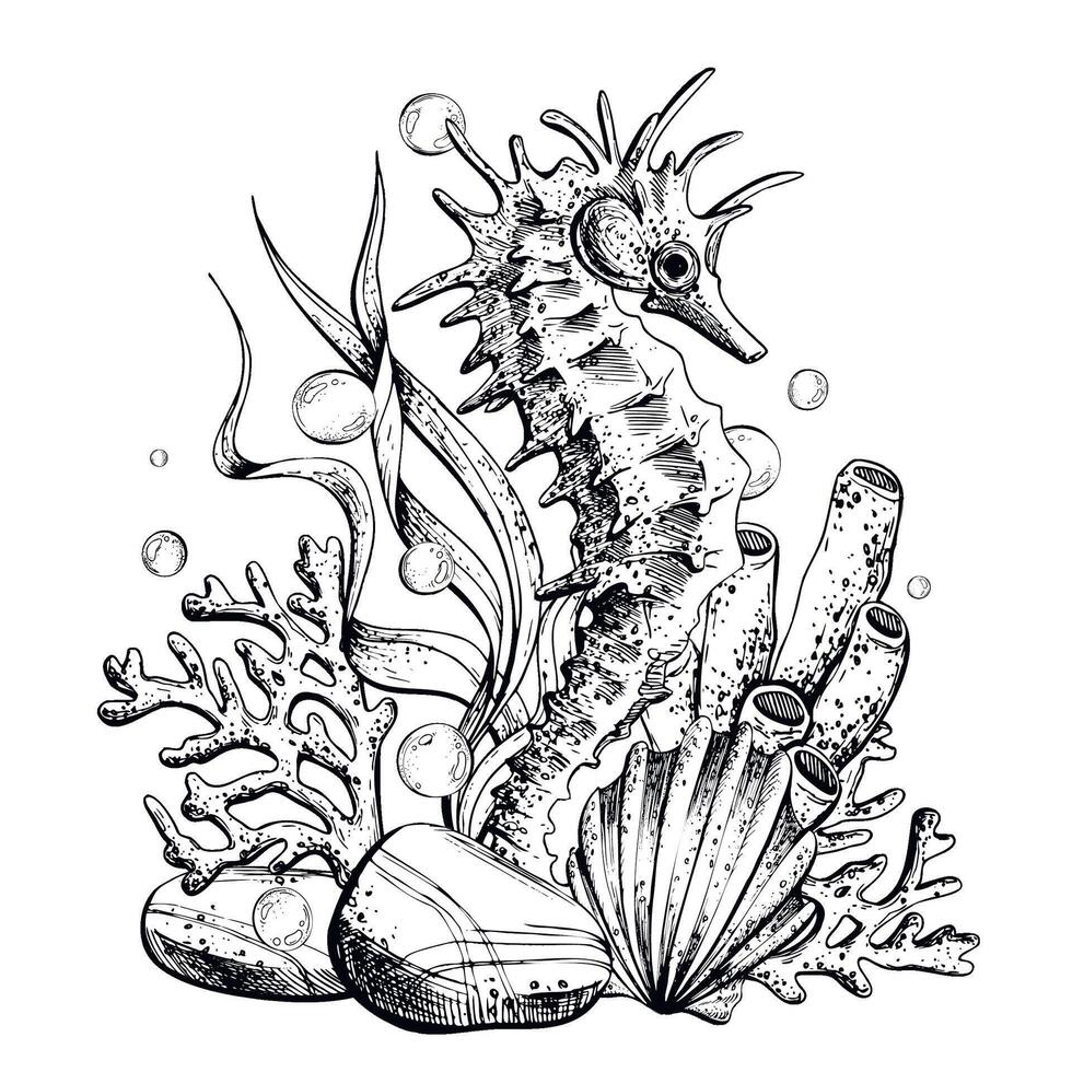 Seahorses, seashell, coral, starfish, sea sponge, algae, pebbles and bubbles. Hand drawn graphic illustration in black and white color line art. Sublimation arrangement on marine theme vector