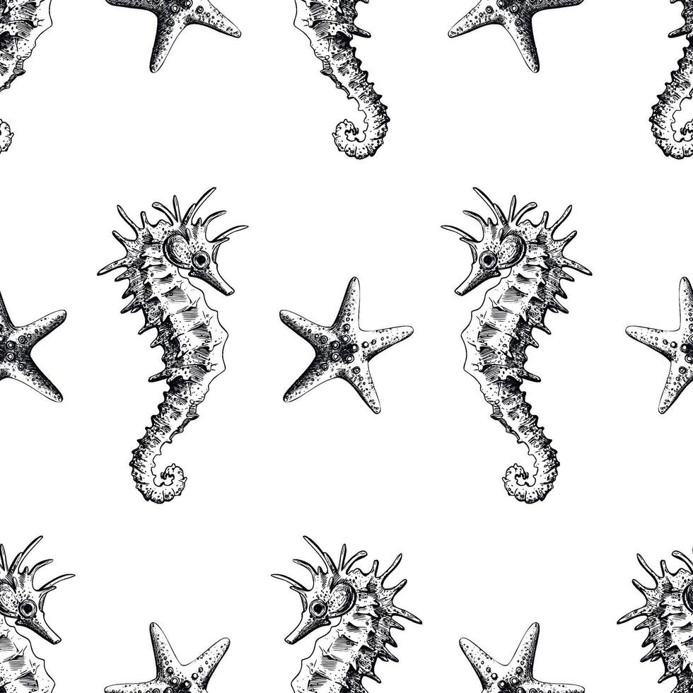 Seahorse and starfish on a white background, seamless pattern, marine. Hand drawn graphic illustration in black and white color line art. Seamless pattern on marine theme vector