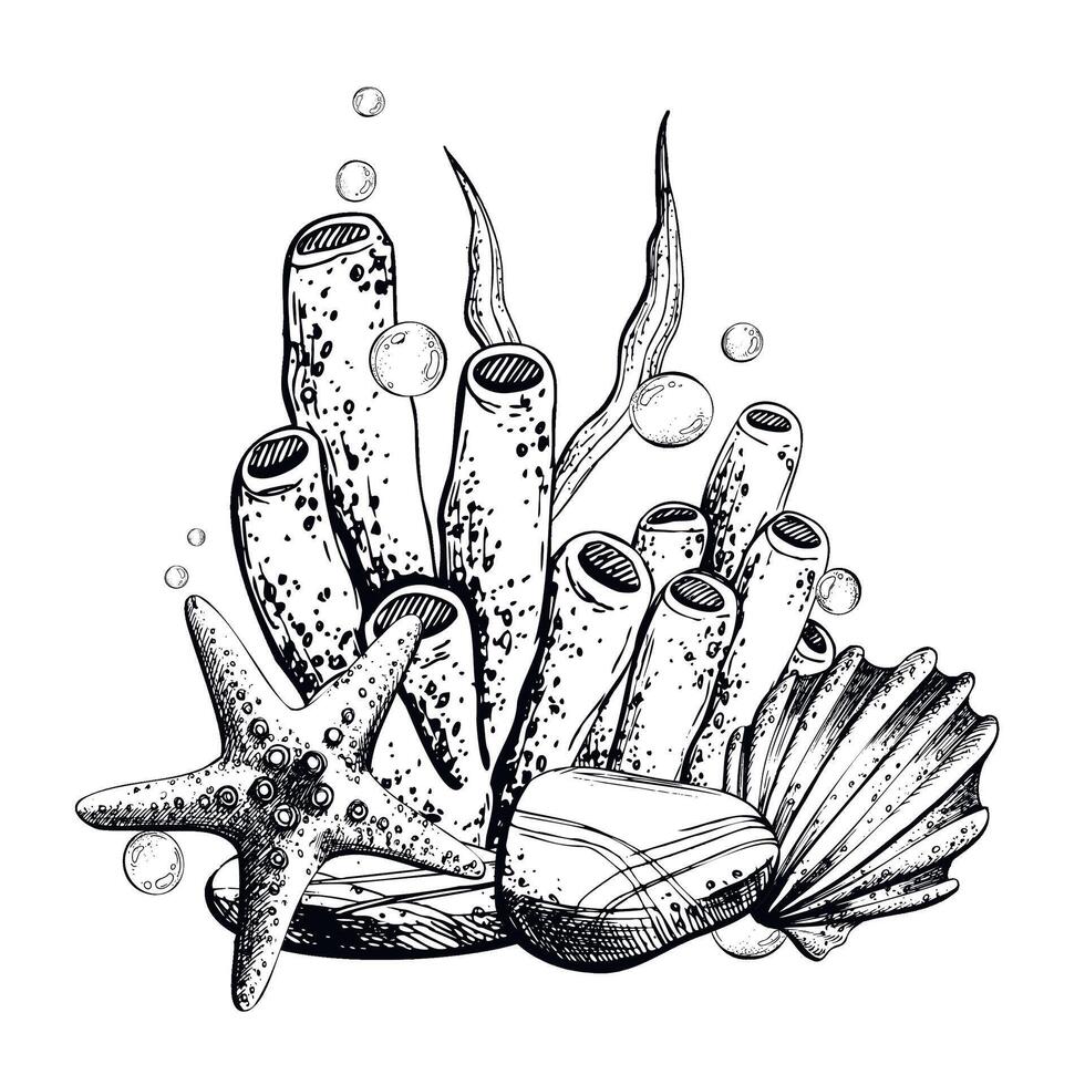 Seashell, starfish, sea sponge, algae, pebbles and bubbles. Hand drawn graphic illustration in black and white color line art. Sublimation arrangement on marine theme vector