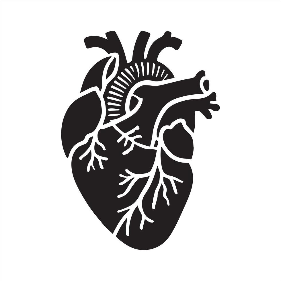 Anatomical heart black silhouette on white background vector