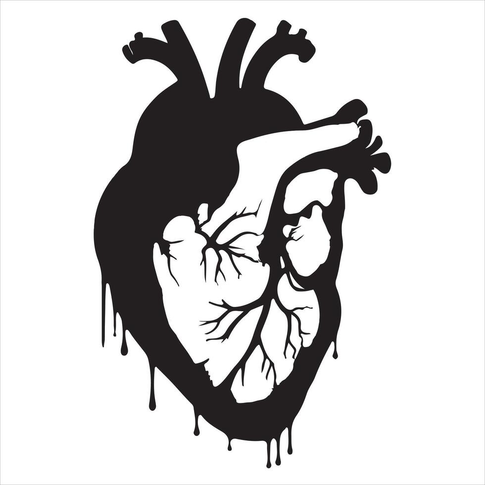 Black anatomical heart silhouette white background vector
