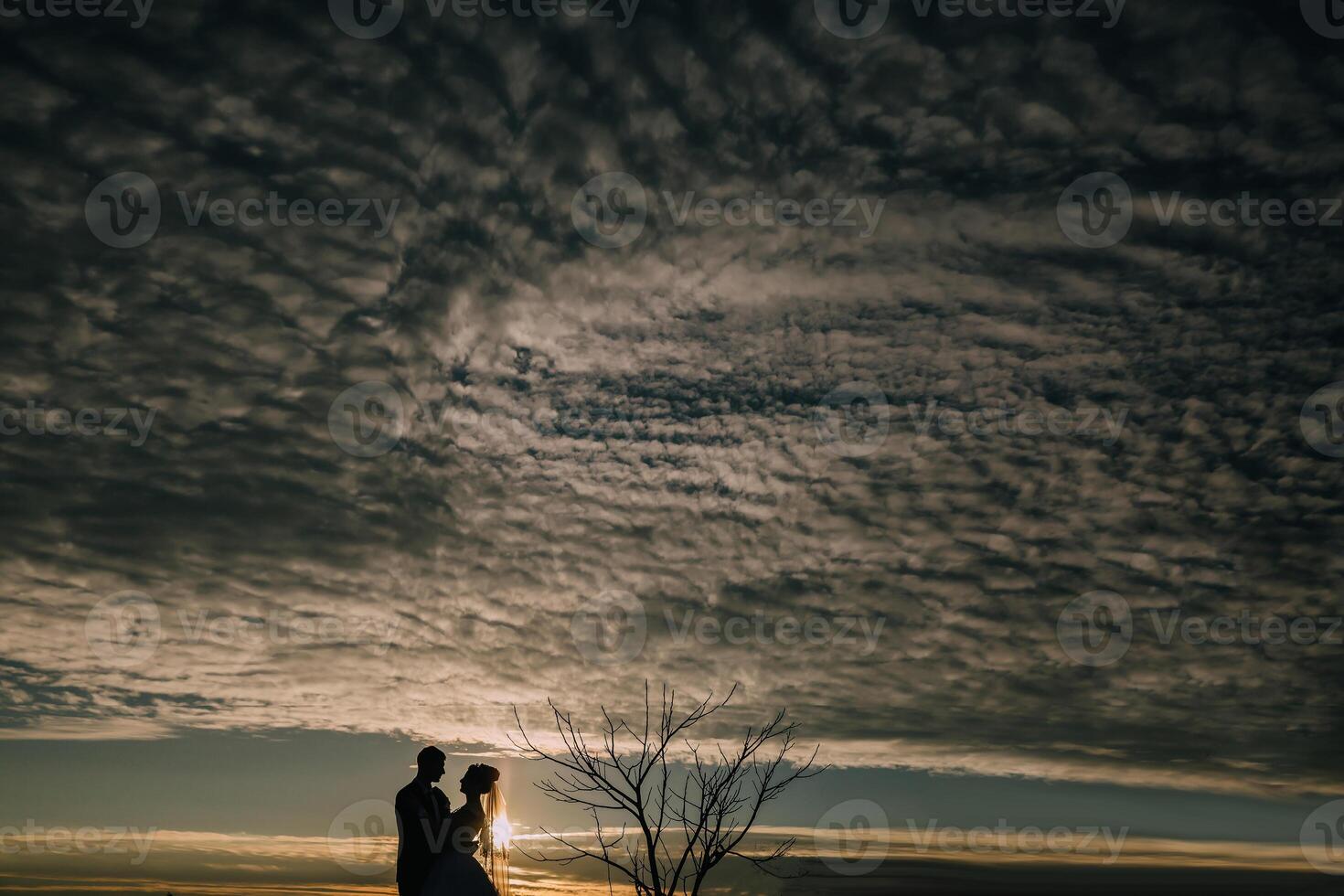A couple is standing in front of a tree, silhouetted against a cloudy sky photo