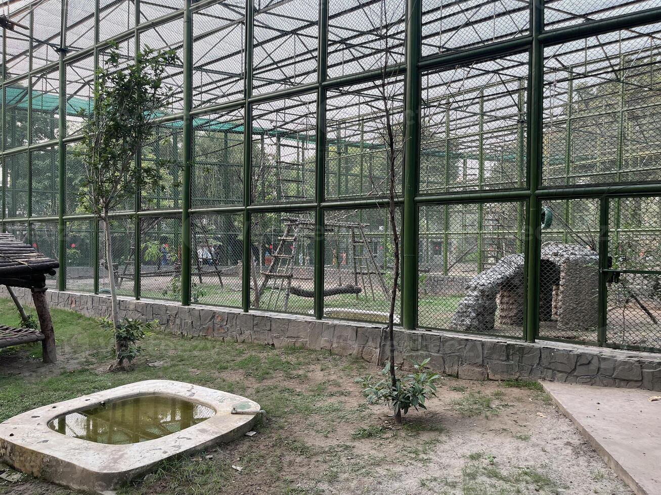 a large cage with a small pool inside in Lahore on 10-10-2024 photo