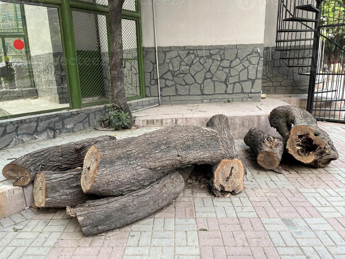 several logs are sitting on the ground outside of a building in Lahore on 10-10-2024 photo