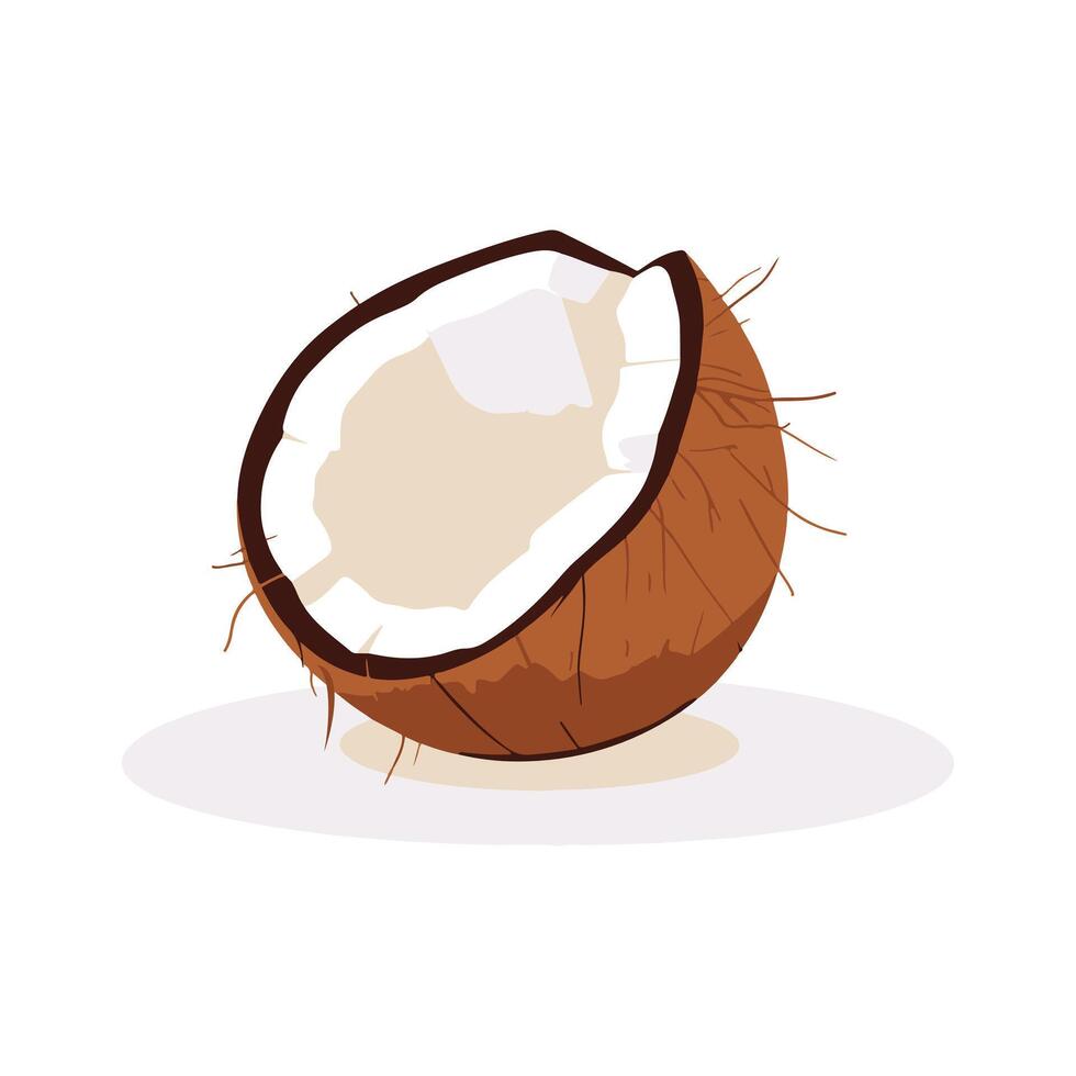 A whole coconut beside a half with white flesh vector