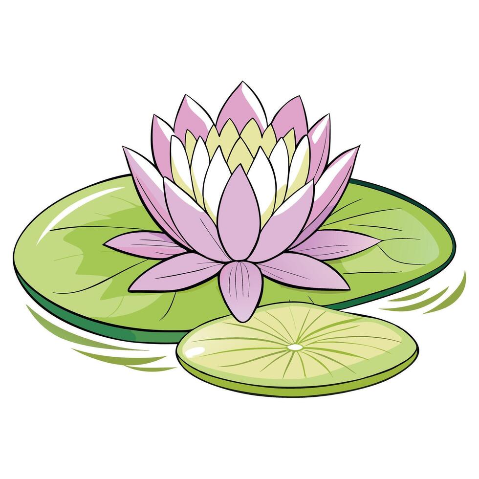 Pink Water Lily Flower Blossom on Lily Pad in Pond vector