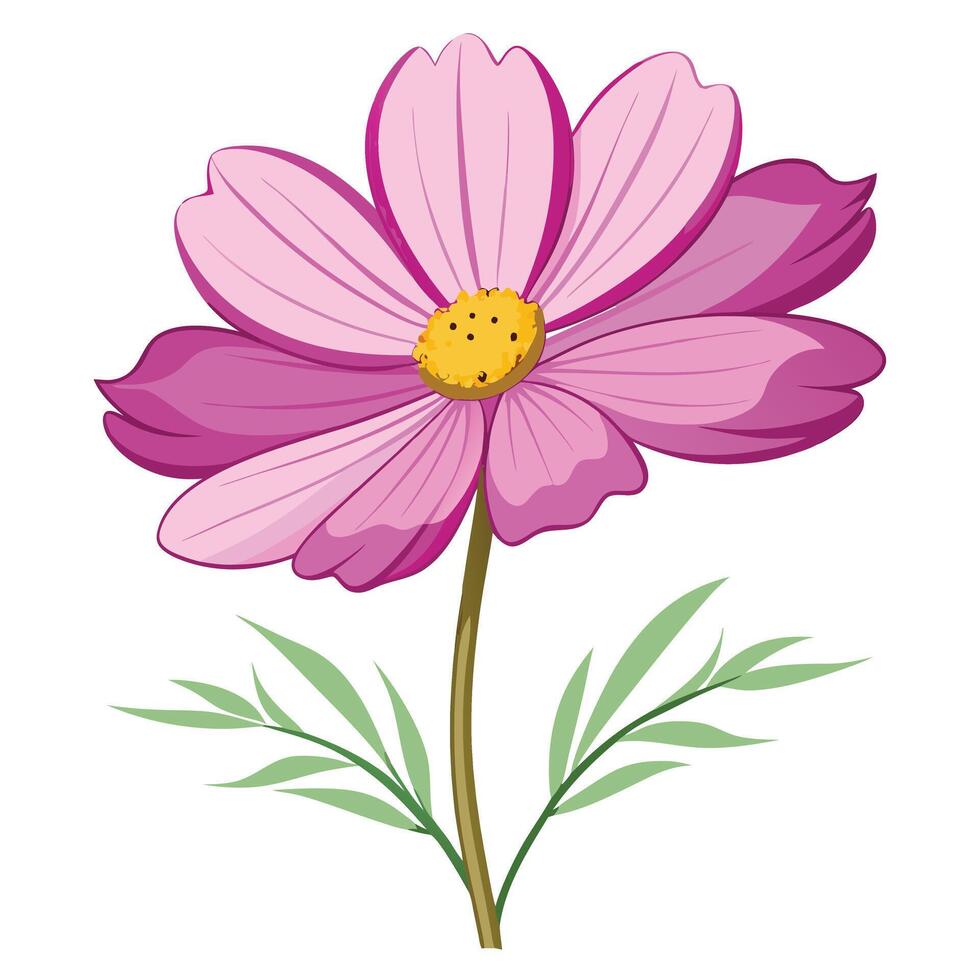 Pink Cosmos Flower Illustration Petals, Stem, Leaves, Bloom vector