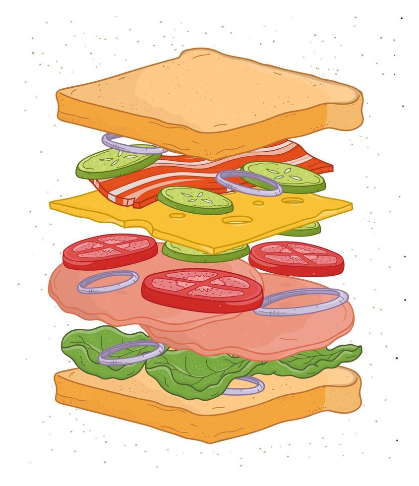 Delicious sandwich with layers or ingredients isolated on white background - bread slices, vegetables, salad leaves, cheese, bacon, meat. Realistic drawing of fast food meal. illustration. vector