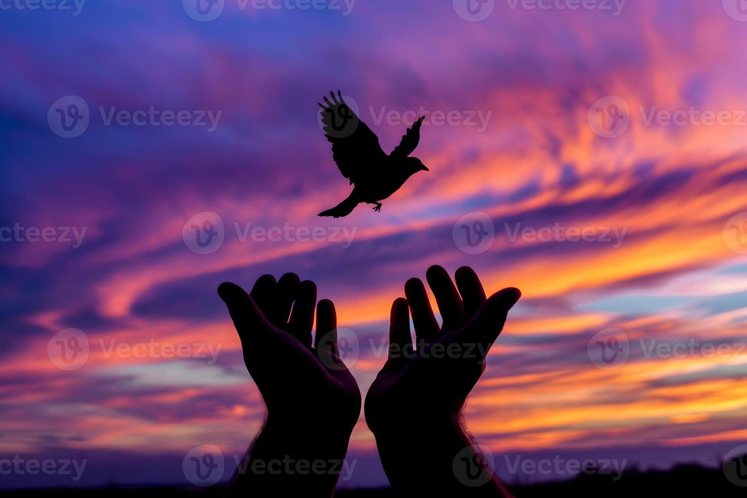 A bird released into a vivid sunset symbolizes freedom and hope photo